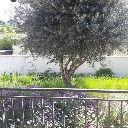 Maison Individuelle Avec Jardin Proche Centre *